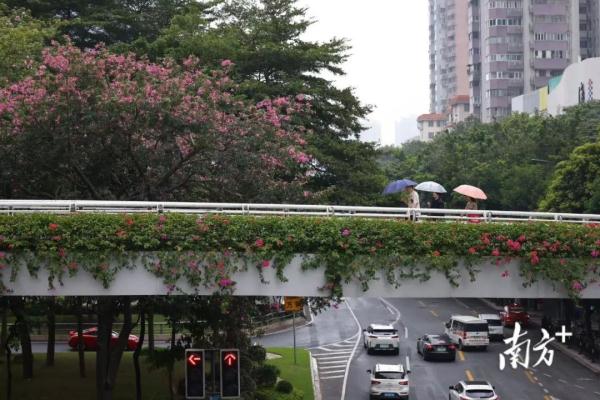 台风“三巴”北上，一股南下冷空气将入粤……