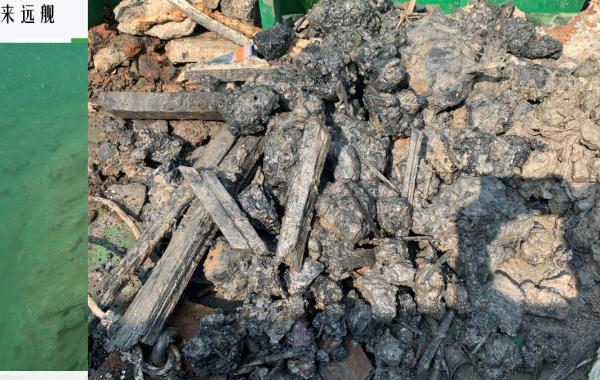 我国首次在南海发现→