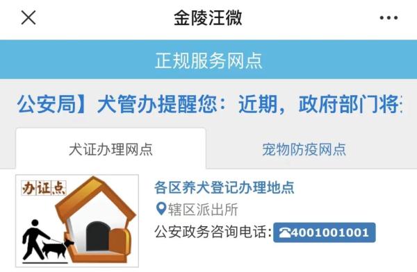 速看!南京养犬规定 速看!南京养犬规定