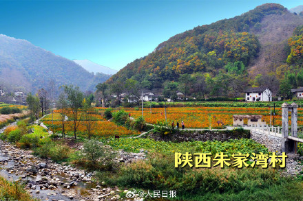 想打卡哪个？我国4地入选联合国最佳旅游乡村