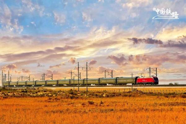 氛围感拉满!当火车驶过绝美胡杨林 氛围感拉满!当火车驶过绝美胡杨林