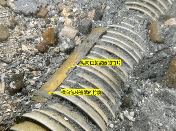 我国首次在南海发现→