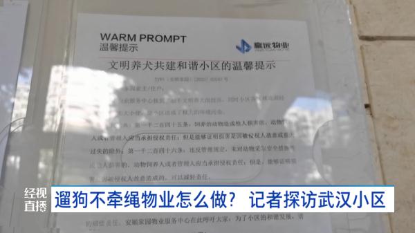 恶犬伤人事件频发,武汉养犬现状如何? 恶犬伤人事件频发,武汉养犬现状如何?