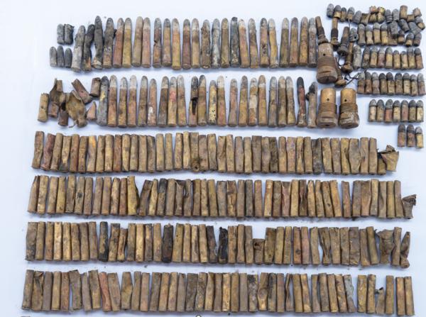 我国首次在南海发现→