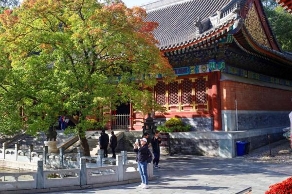 秋景如画 北京香山红叶下周迎最佳观赏期