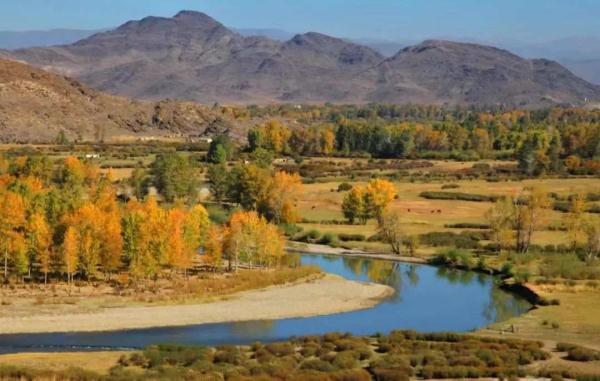 氛围感拉满!当火车驶过绝美胡杨林 氛围感拉满!当火车驶过绝美胡杨林
