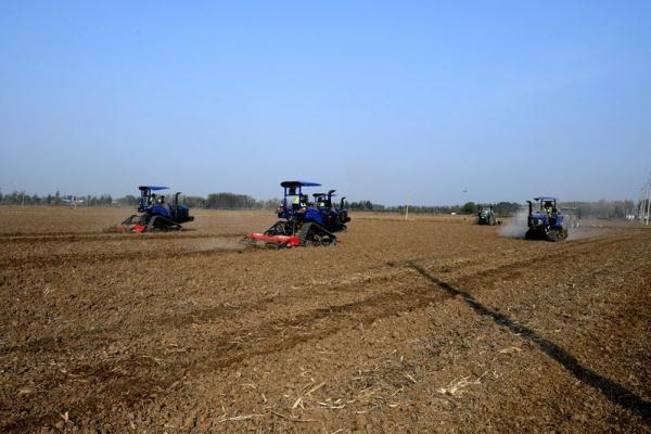 河北廊坊安次区：冬小麦播种忙