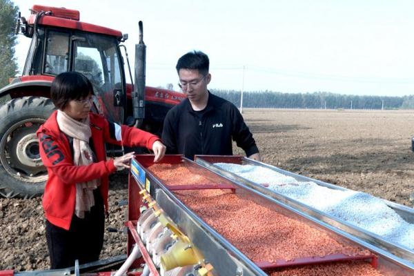 河北廊坊安次区：冬小麦播种忙