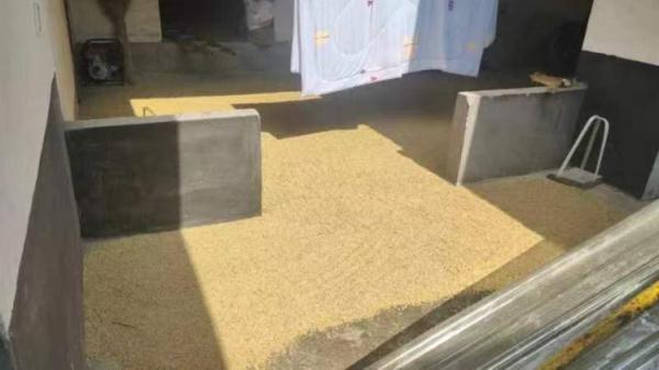 离谱！车内装吸尘器偷玉米6000斤