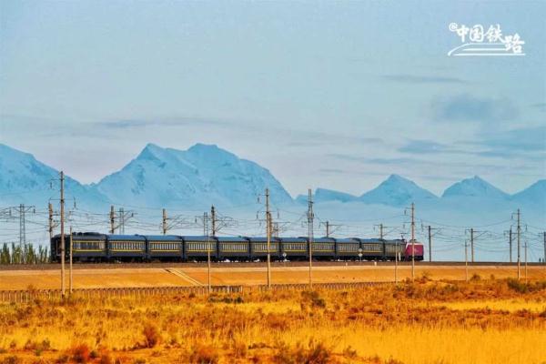 氛围感拉满!当火车驶过绝美胡杨林 氛围感拉满!当火车驶过绝美胡杨林