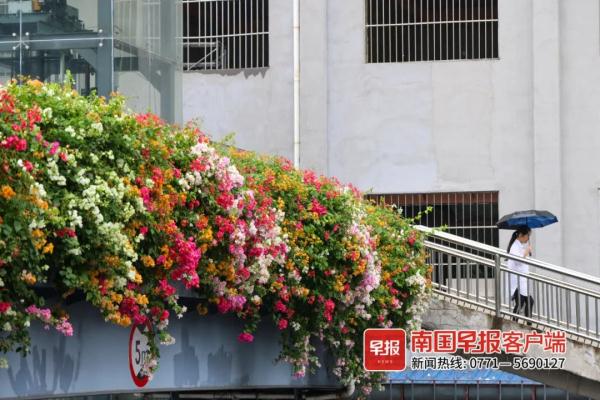 台风“三巴”来了！南宁这些地方可能出现暴雨！