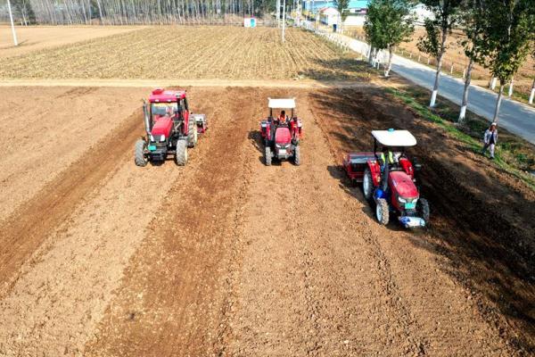 河北廊坊安次区：冬小麦播种忙