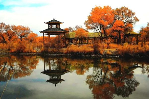 氛围感拉满!当火车驶过绝美胡杨林 氛围感拉满!当火车驶过绝美胡杨林