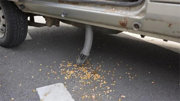 离谱！车内装吸尘器偷玉米6000斤