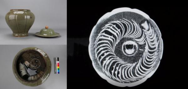 我国首次在南海发现→