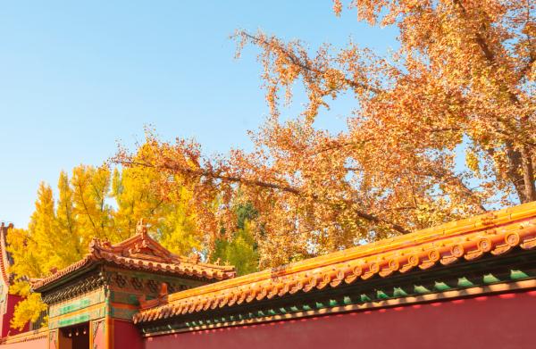 北京午后阵风依然较大，夜间最低仅5度，气象专家喊你穿秋裤啦！