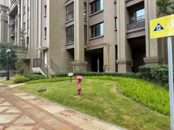 2岁女童被烈犬咬伤后续：家属申请将涉事黑狗安乐死，记者实地探访→