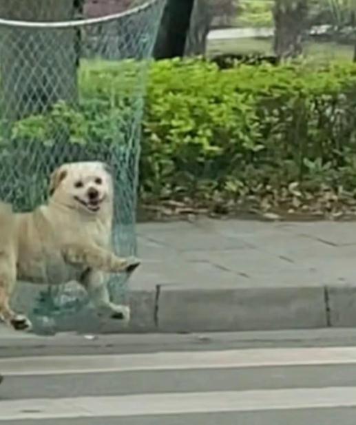 最新通报：停职！网友吵翻