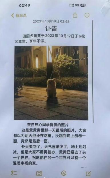 最新通报：停职！网友吵翻