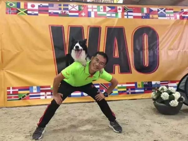 幼童遭撕咬事件后，听专业人士聊聊烈性犬，上海发布相关政策...