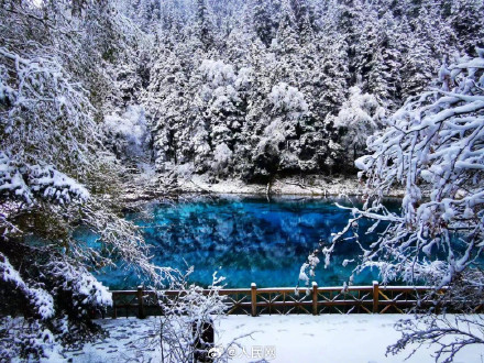 梦幻！九寨沟秋日雪景唯美浪漫