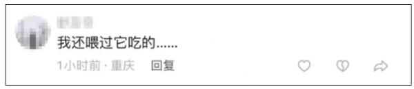 最新通报：停职！网友吵翻