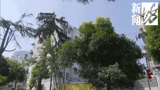 卖房替儿还债,71岁上海阿婆露宿长椅5个月!终于得到安置 卖房替儿还债,71岁上海阿婆露宿长椅5个月!终于得到安置