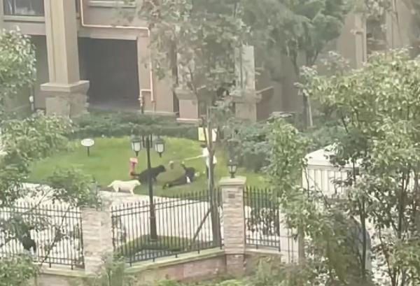 2岁女童被烈犬咬伤后续：家属申请将涉事黑狗安乐死，记者实地探访→