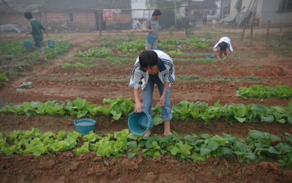 海南史上首支“超”级女足!她们夺冠背后有这些“关键球”→ 海南史上首支“超”级女足!她们夺冠背后有这些“关键球”→