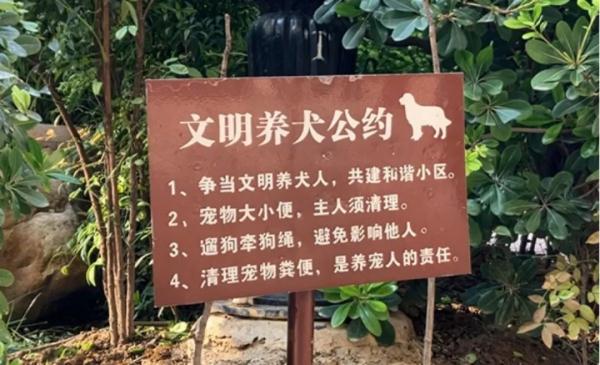 未办证、遛狗不拴绳......郑州全市严查不文明养犬