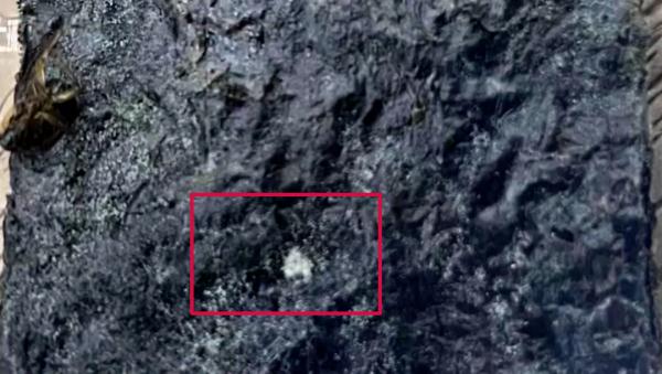 山姆又摊上事了，热卖的咸味海苔竟然嵌着蟑螂