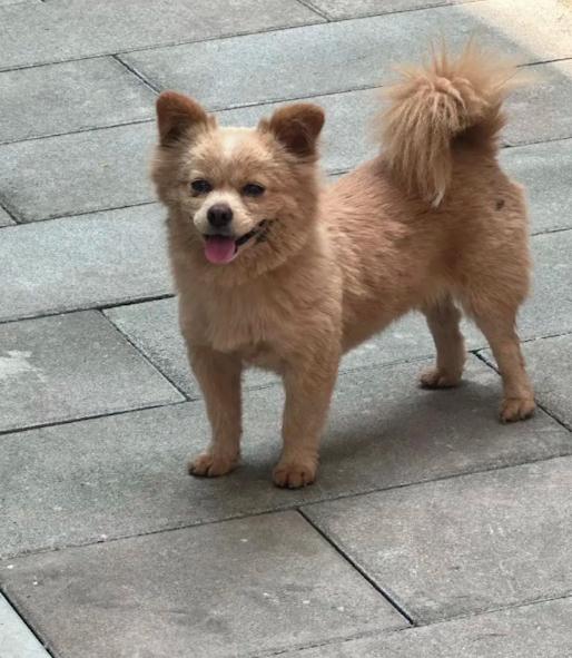 最新通报：停职！网友吵翻