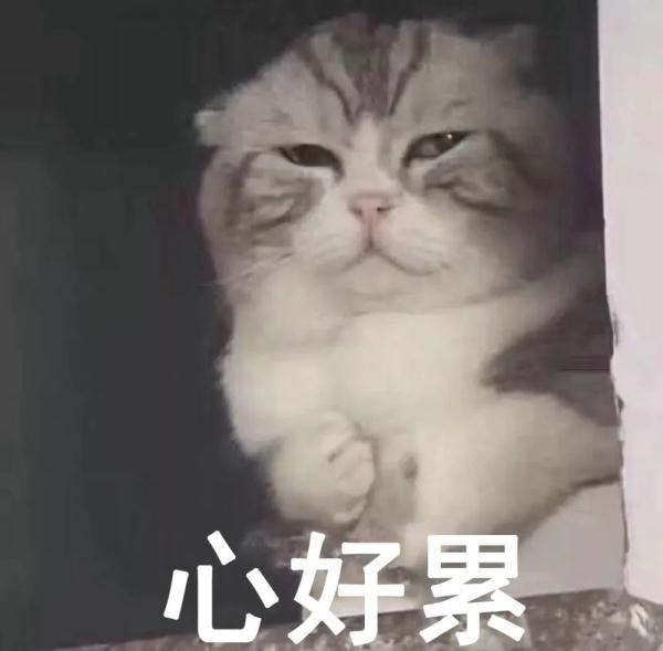 比正装完整的食品还贵?边角料食品你会买吗? 比正装完整的食品还贵?边角料食品你会买吗?