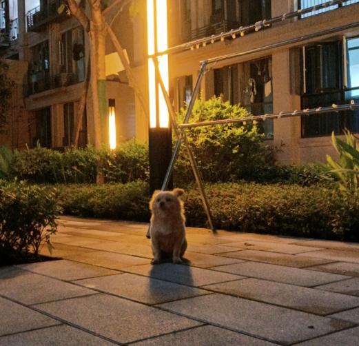 最新通报：停职！网友吵翻