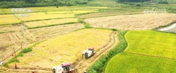 坚定文化自信 让爱国主义教育在法典中找到注脚 坚定文化自信 让爱国主义教育在法典中找到注脚