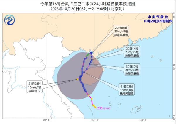 台风“三巴”在湛江再次登陆！19个暴雨预警生效→