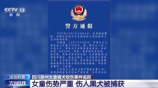 恶犬伤人事件发生 犬主应承担哪些法律责任? 恶犬伤人事件发生 犬主应承担哪些法律责任?