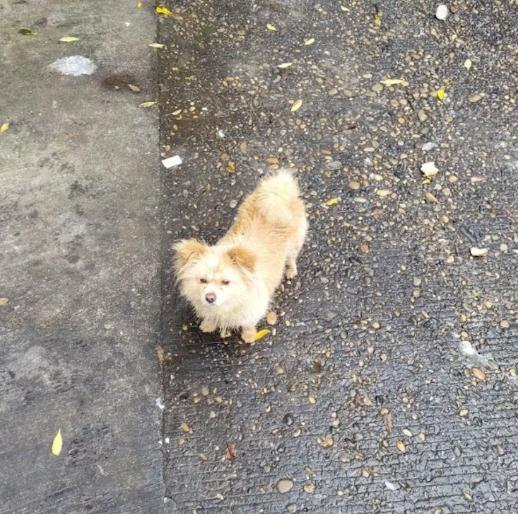 最新通报：停职！网友吵翻