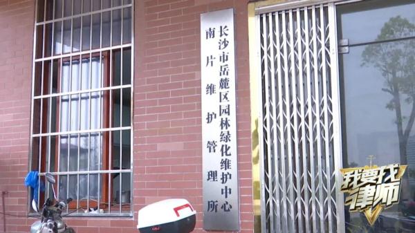 骑车被未拴绳的狗追赶摔伤，谁来担责？