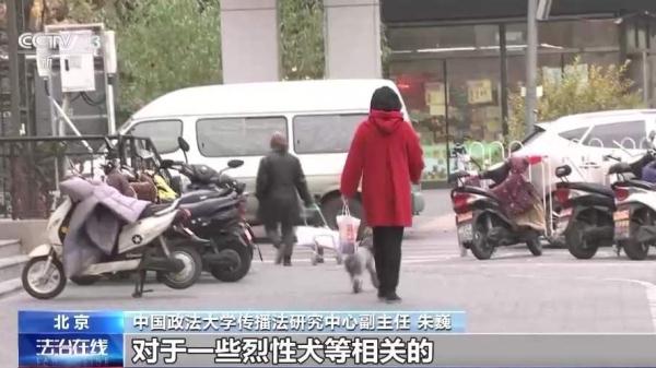 恶犬伤人事件发生 犬主应承担哪些法律责任? 恶犬伤人事件发生 犬主应承担哪些法律责任?