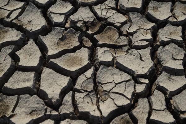 报告预测:厄尔尼诺现象至少持续至明年上半年 可能影响拉美农业 报告预测:厄尔尼诺现象至少持续至明年上半年 可能影响拉美农业