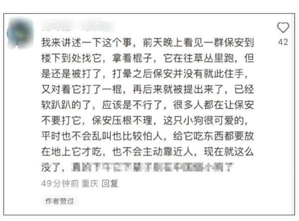 流浪狗被高校保安驱赶处置致死，引发学生愤怒和不满