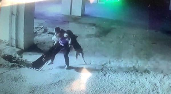 又一例！恶犬扑向1岁幼童，老人护娃险丧命！