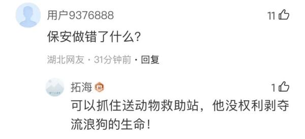 流浪狗被高校保安驱赶处置致死，引发学生愤怒和不满