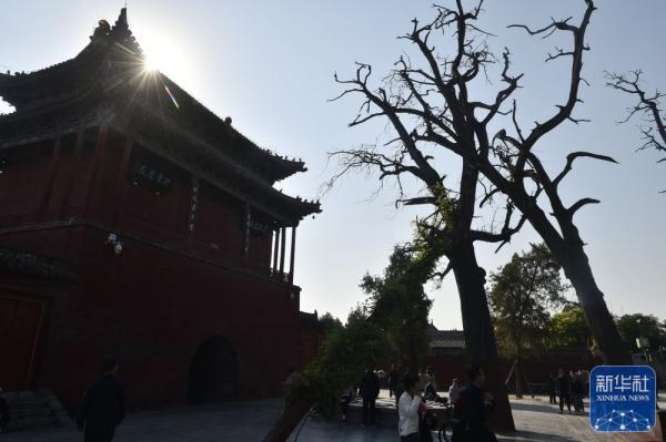 行走太昊陵景区 探寻历史文化源流