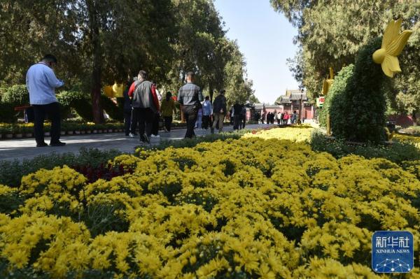 行走太昊陵景区 探寻历史文化源流