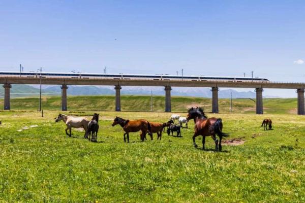 让大爷“圈粉”的列车美景,找到了! 让大爷“圈粉”的列车美景,找到了!