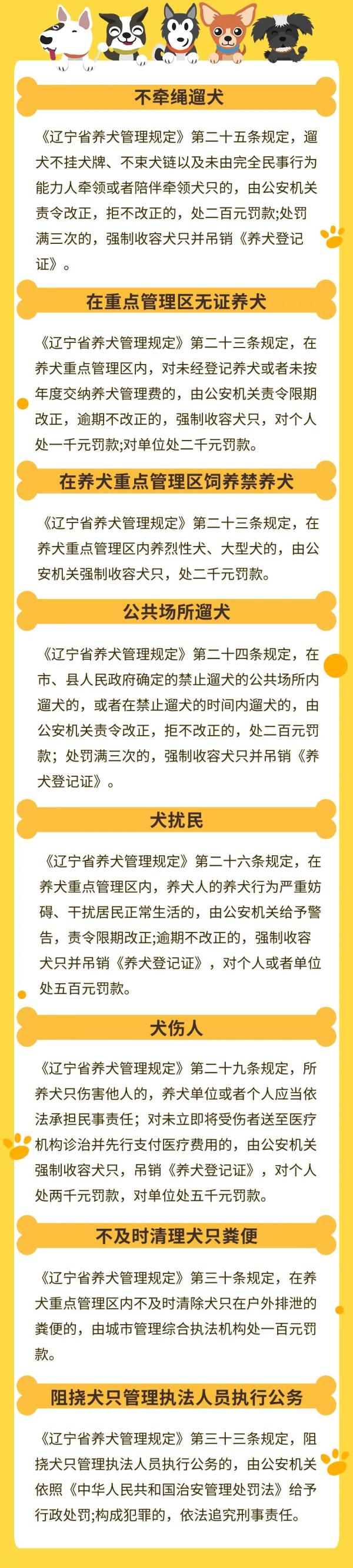 沈阳警方最新提醒：除了48种犬禁养，这8件事养犬人也不能做！