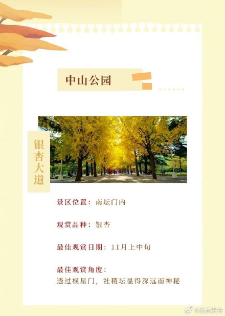 北平之秋便是天堂｜这个秋天，来一场斑斓绚丽的公园 烂漫之约！