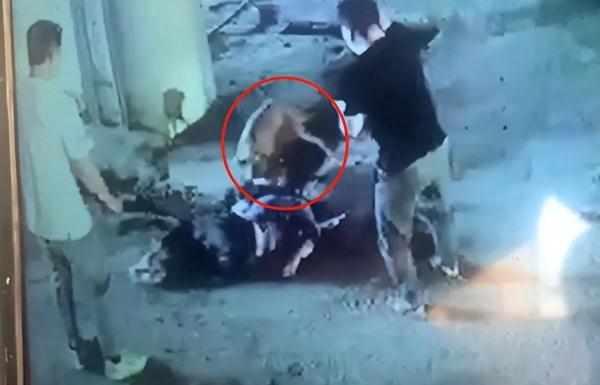 又一例！恶犬扑向1岁幼童，老人护娃险丧命！